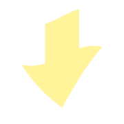 261