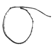 025