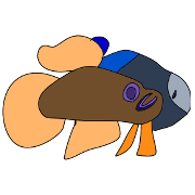 003