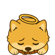 003