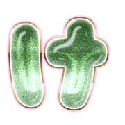 009