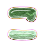010