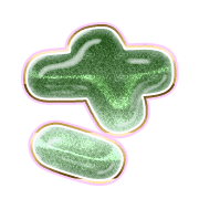 011