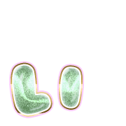 048