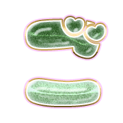 060