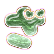 061