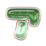 081