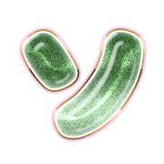 095