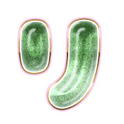 120