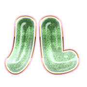 121