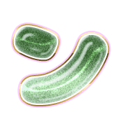 126