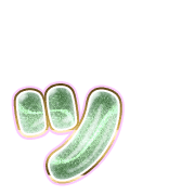 132