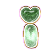 196
