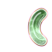 234