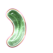 235