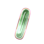247