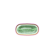 251