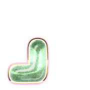 255