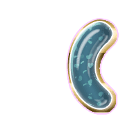 234