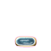 250