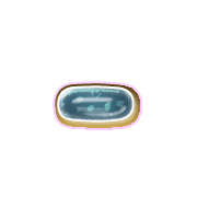 251