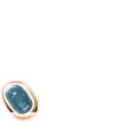 256