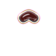 231