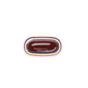 251