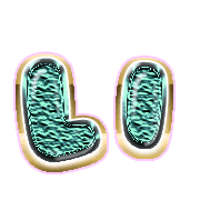 002