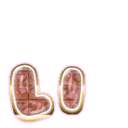 048