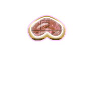231
