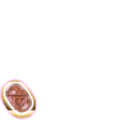 256