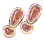 268