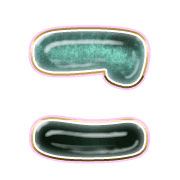 010
