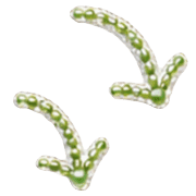 037