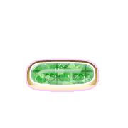 161