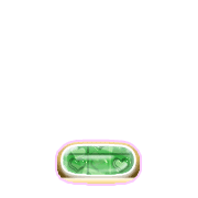 250