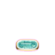 250