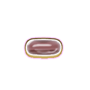 251