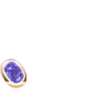 256