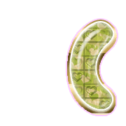 234
