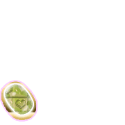 256