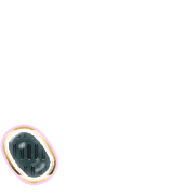 256