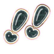 268