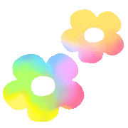 019