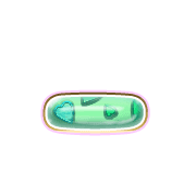 161