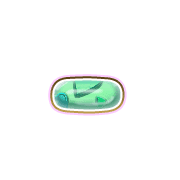 251
