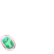 256