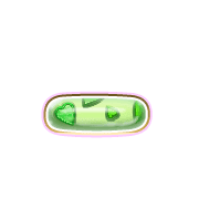 161