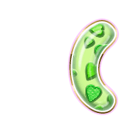 234